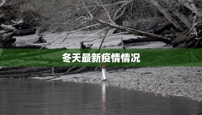 冬天最新疫情情况