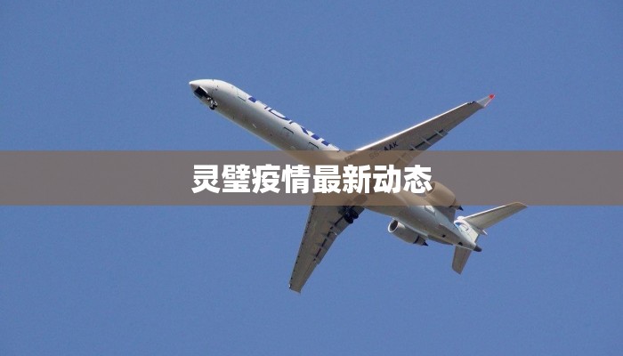 灵璧疫情最新动态