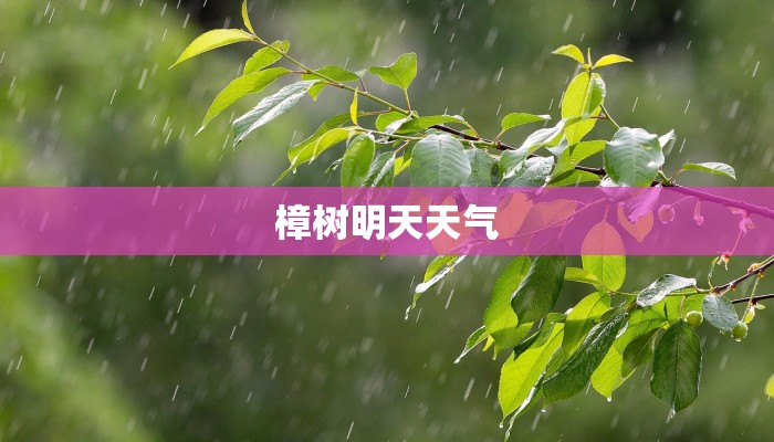 洛阳西工天气预报