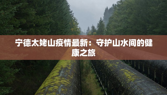 怀化辰溪疫情最新：守护家园的温暖力量