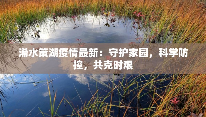 浠水策湖疫情最新：守护家园，科学防控，共克时艰