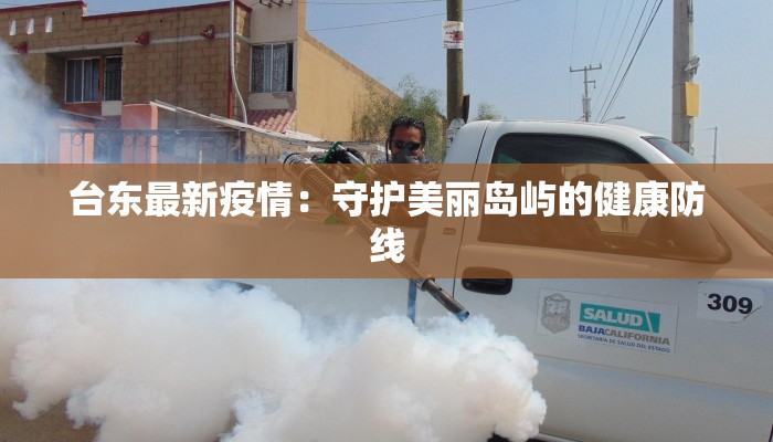 台东最新疫情：守护美丽岛屿的健康防线