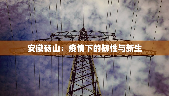 苏州美格舞蹈：舞动梦想，绽放优雅