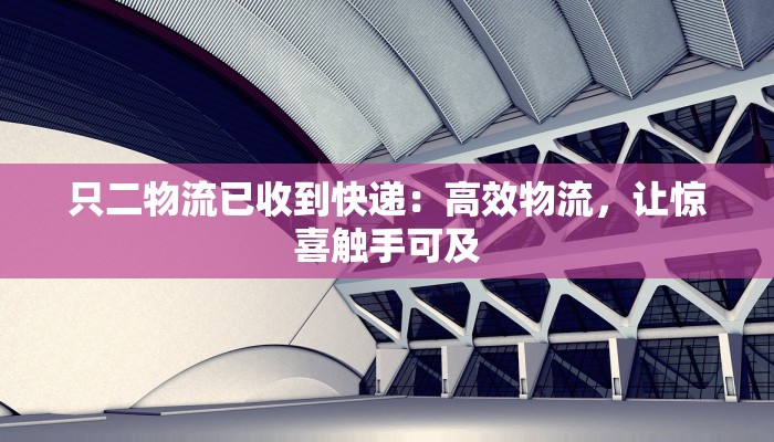 只二物流已收到快递:高效物流,让惊喜触手可及 只二物流已收到快递:高效物流,让惊喜触手可及