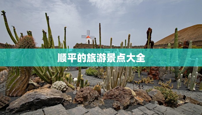 探秘云南永仁：一场心灵的绿色之旅