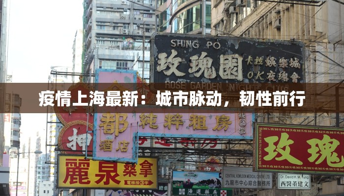 容县疫情轨迹公布最新 容县疫情轨迹公布最新