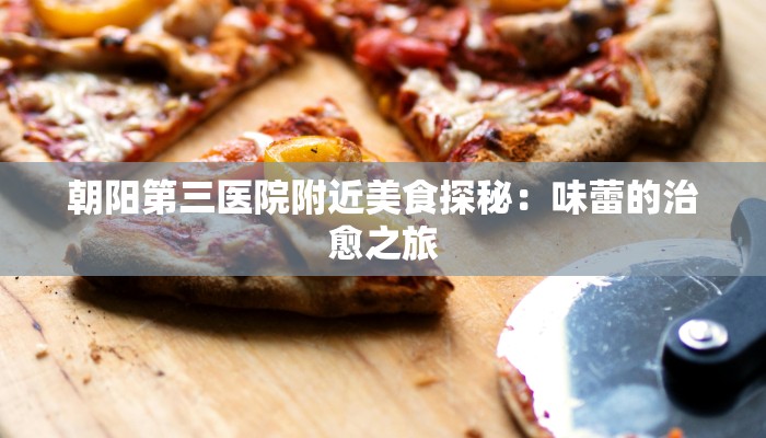 朝阳第三医院附近美食探秘：味蕾的治愈之旅