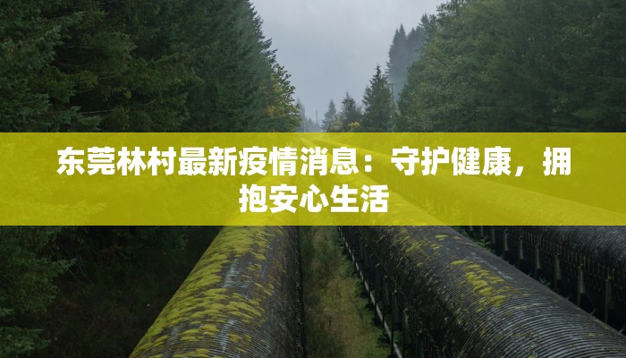 东莞林村最新疫情消息：守护健康，拥抱安心生活