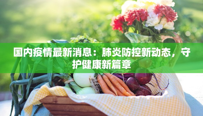 国内疫情最新消息：肺炎防控新动态，守护健康新篇章