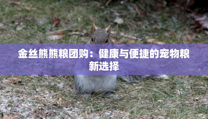 金丝熊熊粮团购：健康与便捷的宠物粮新选择